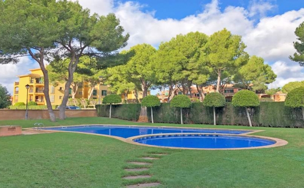 mallorca flat (13) mallorca flat (13)