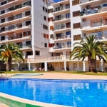flat spain (3)