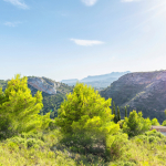 montecala  (18)